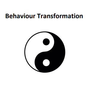 Behaviour Transformation