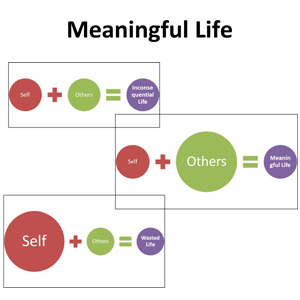 Meaningful Life