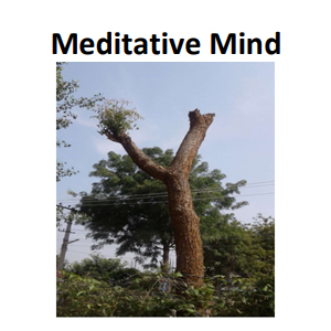 Meditative Mind