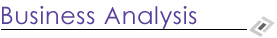 Business Analysis